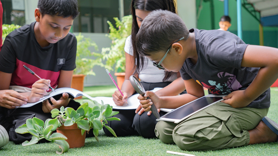 Bachelor of Primary Teaching