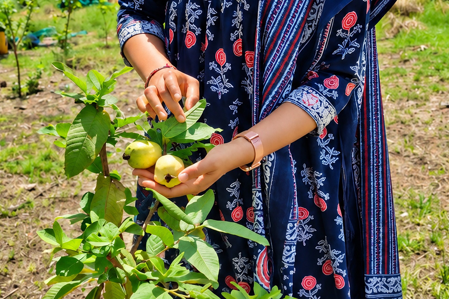 Advanced Certificate in Sustainable Agro Entrepreneurship